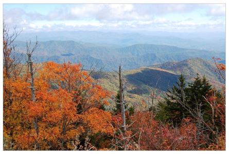Orange & Blue From Clingman's Dome