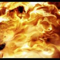 The Fiery Lion