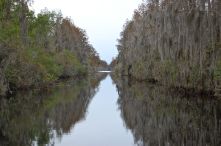 Okefenokee Canal in the Okefenokee Swamp, Georgia