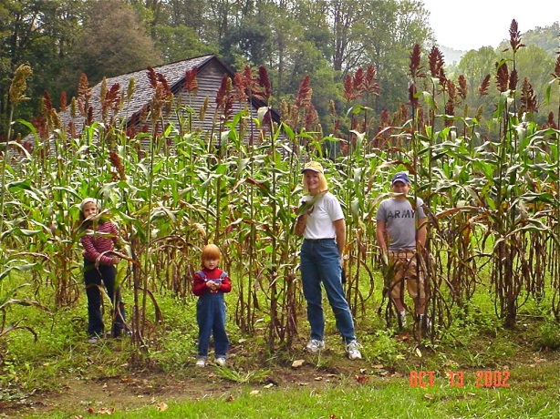 The Hetricks in Sugar Cane, 2002