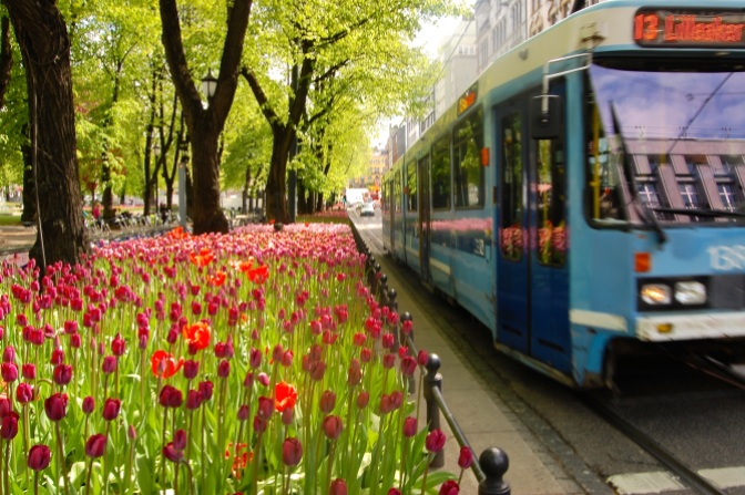 I wish these tulips were in better focus to contrast with the rushing trolley