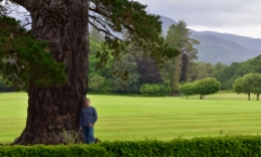 Lon and an ancient tree, Muckross House