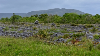 A view of The Burren National Park