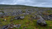 The Burren National Park